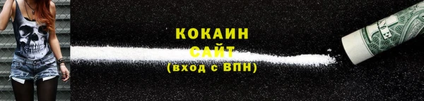 не бодяженный Алексин