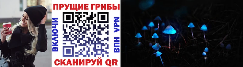 купить   Ступино  Псилоцибиновые грибы мицелий 